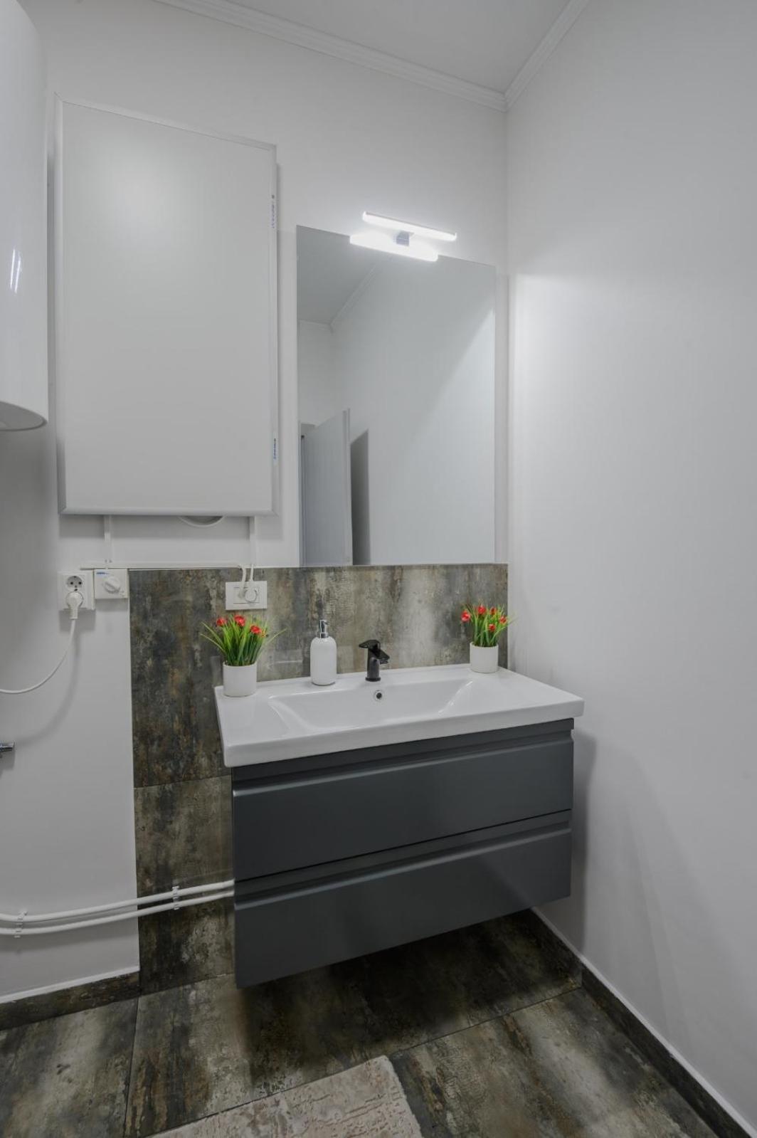 Apartament Radiana Băile Felix エクステリア 写真