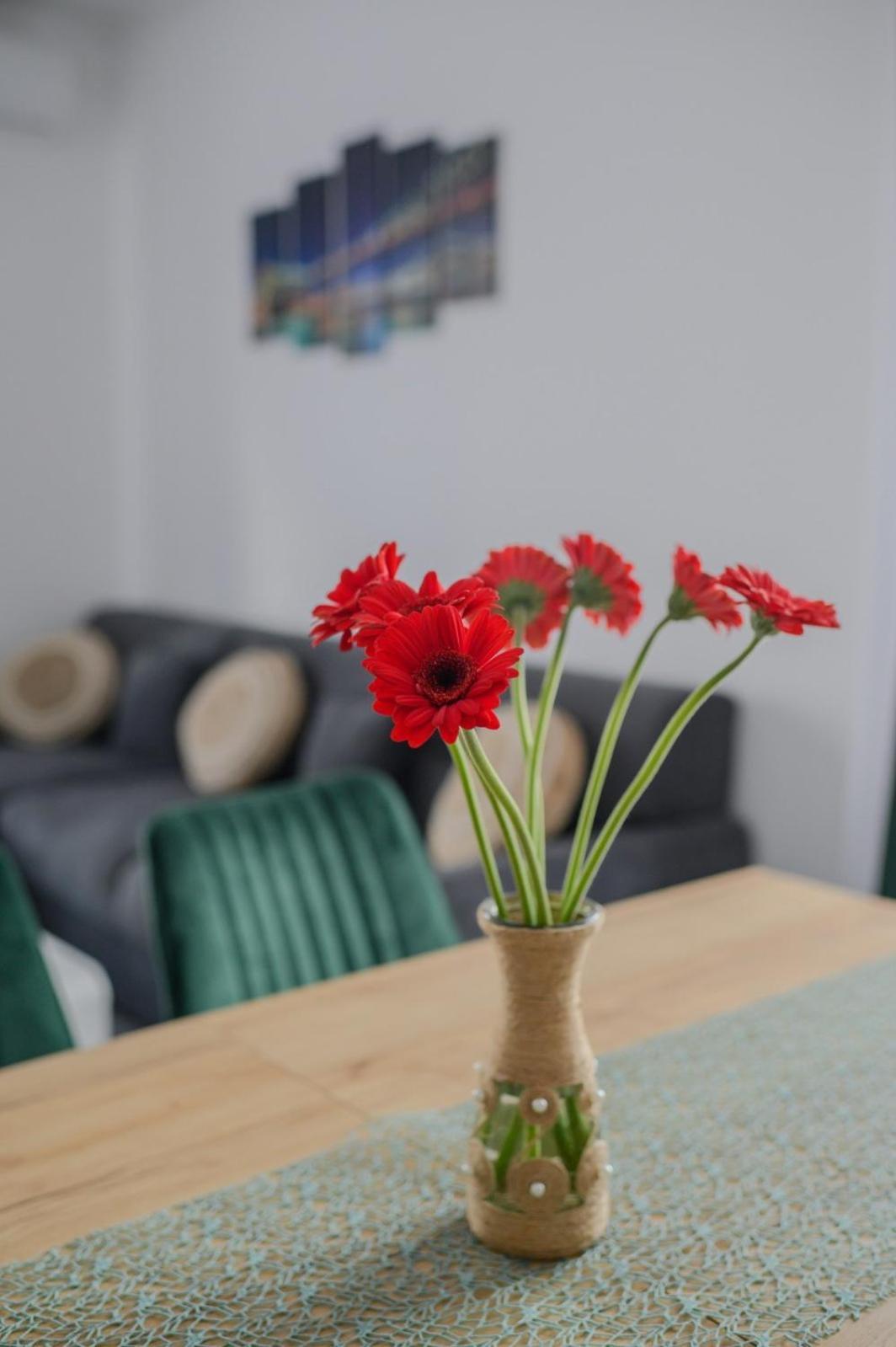 Apartament Radiana Băile Felix エクステリア 写真